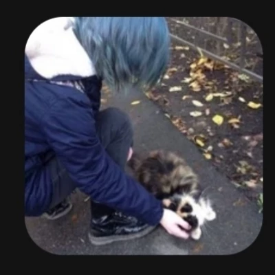Sal Fisher thumbnail