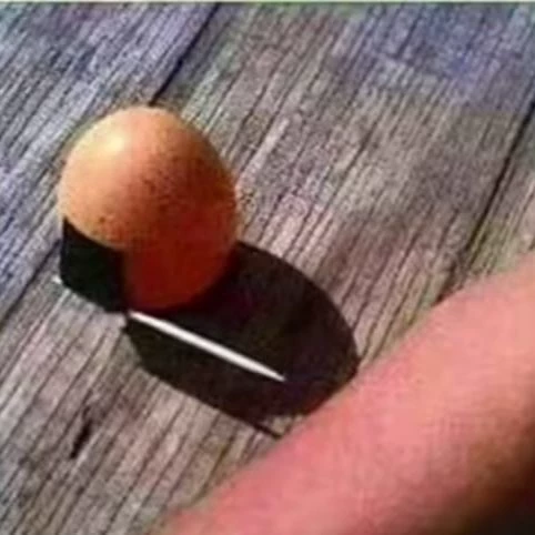 the egg thumbnail