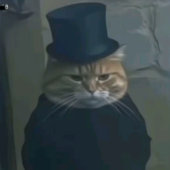 Bellakgato