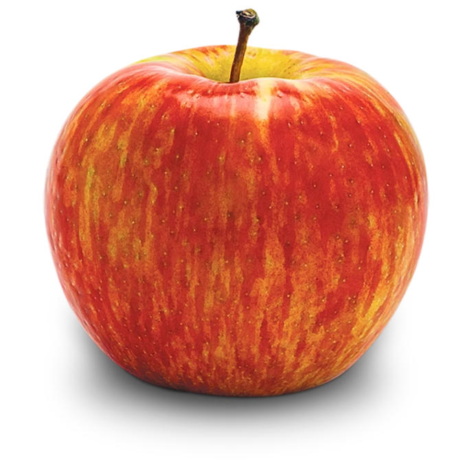apple thumbnail