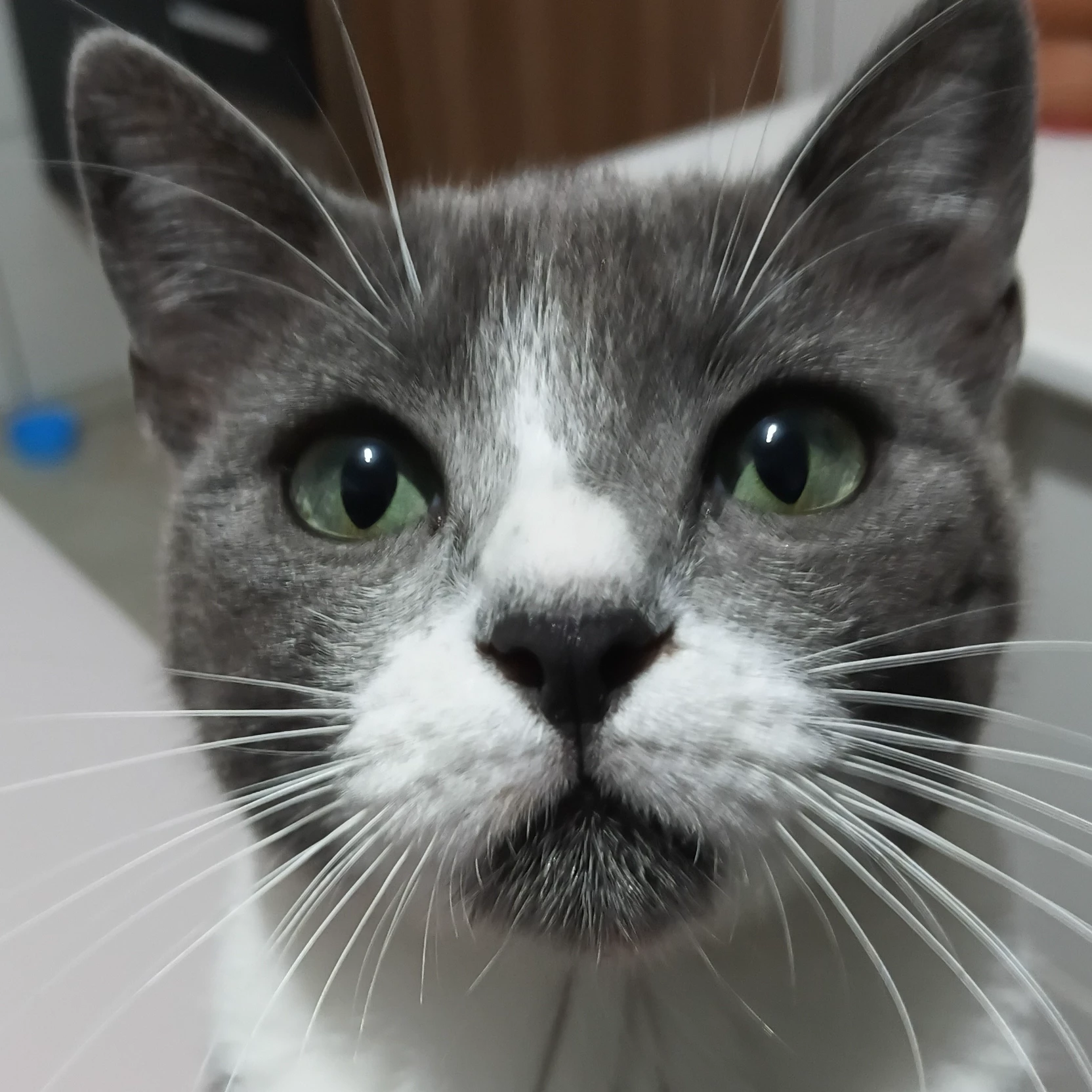 Gabriel 