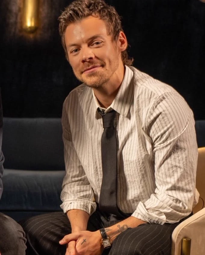 Harry Styles AU thumbnail