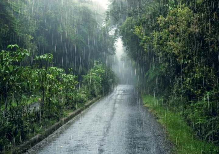Caminando por la lluvia thumbnail