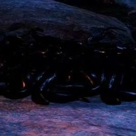 the symbiote thumbnail