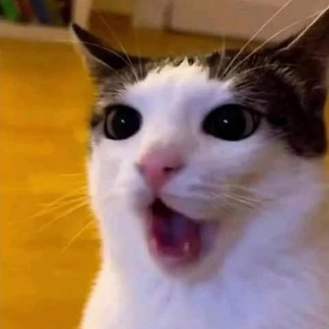 Lu