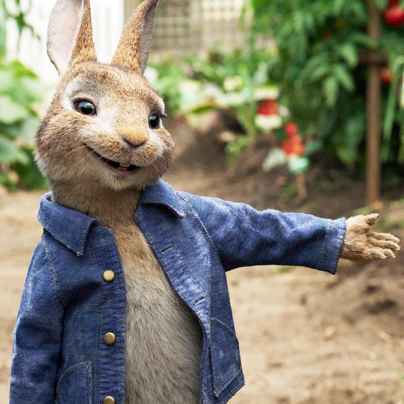 Peter rabbit 🥕🥕 thumbnail