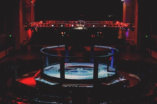 Octagon: blood and money. thumbnail