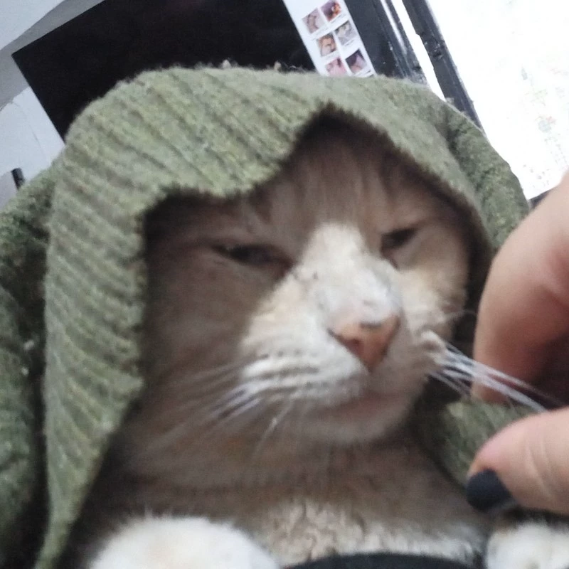 Tom