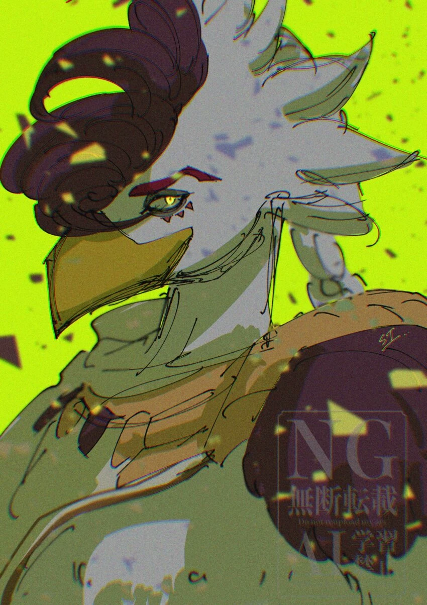 Raphica thumbnail