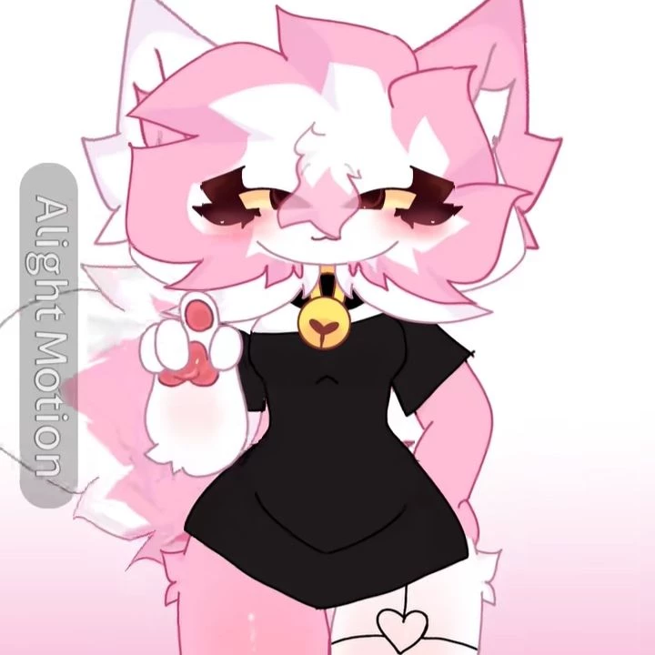 kitty thumbnail