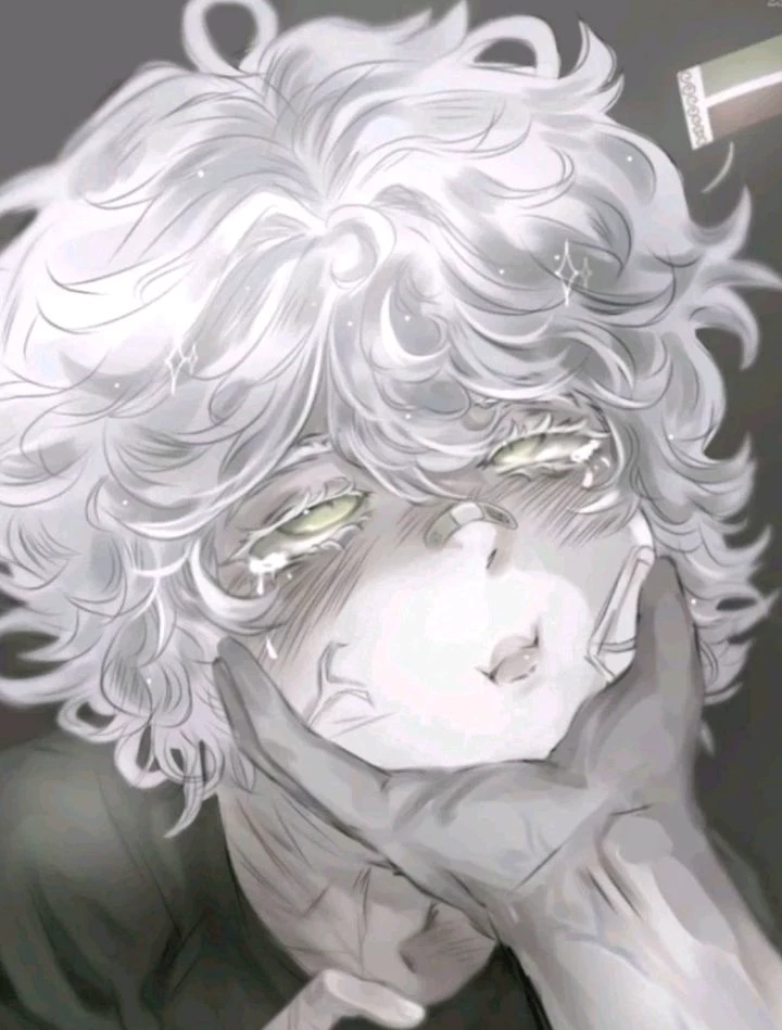 N O A H [bl] thumbnail