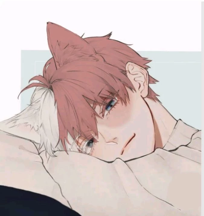Shoto Todoroki kitty thumbnail