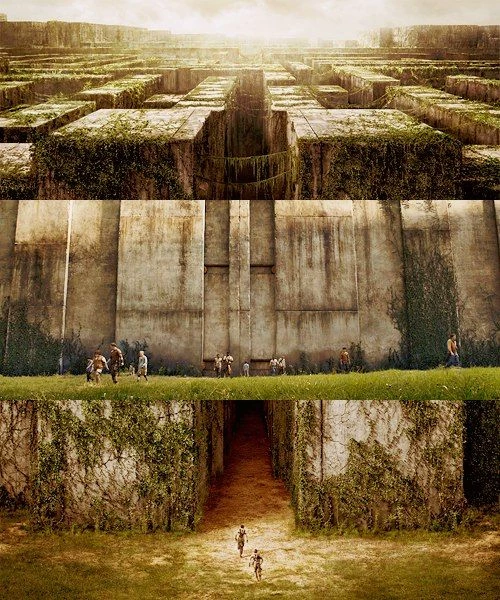 The Maze Runner thumbnail