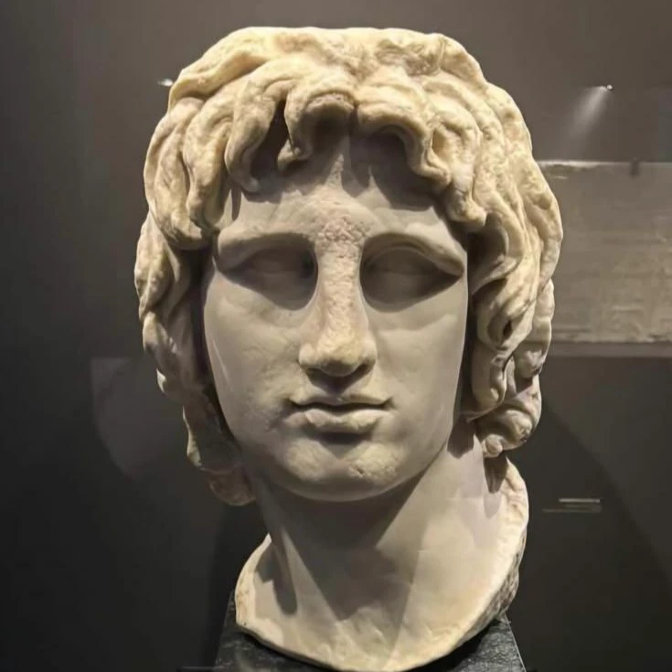 The Preserved Head of Alexander the Great thumbnail