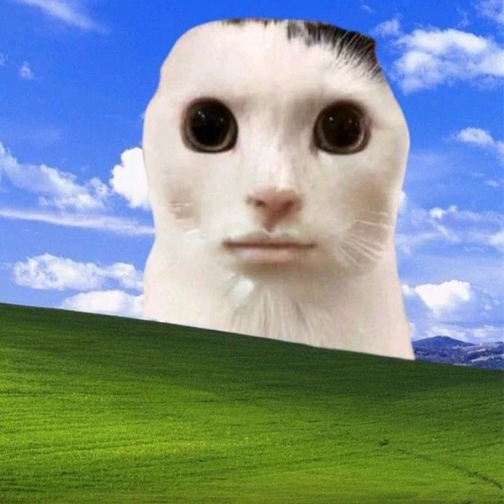 Cat:)) thumbnail
