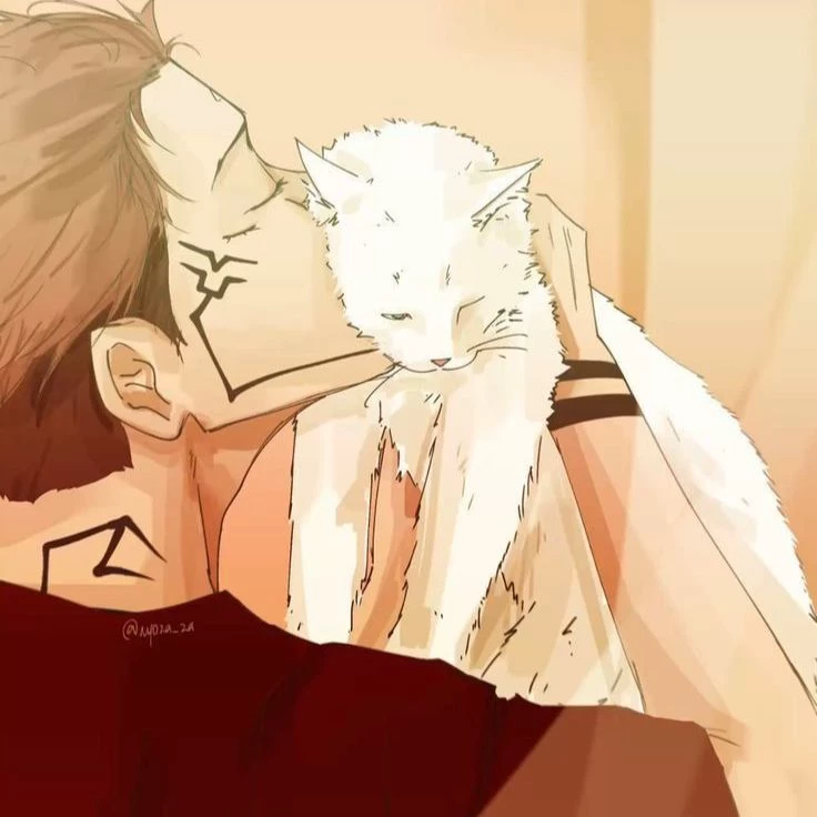 You are Sukuna's cat😍 thumbnail