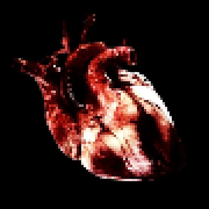 🫀𝕳𝖊𝖆𝖗𝖙𝕭𝖚𝖗𝖓🫀