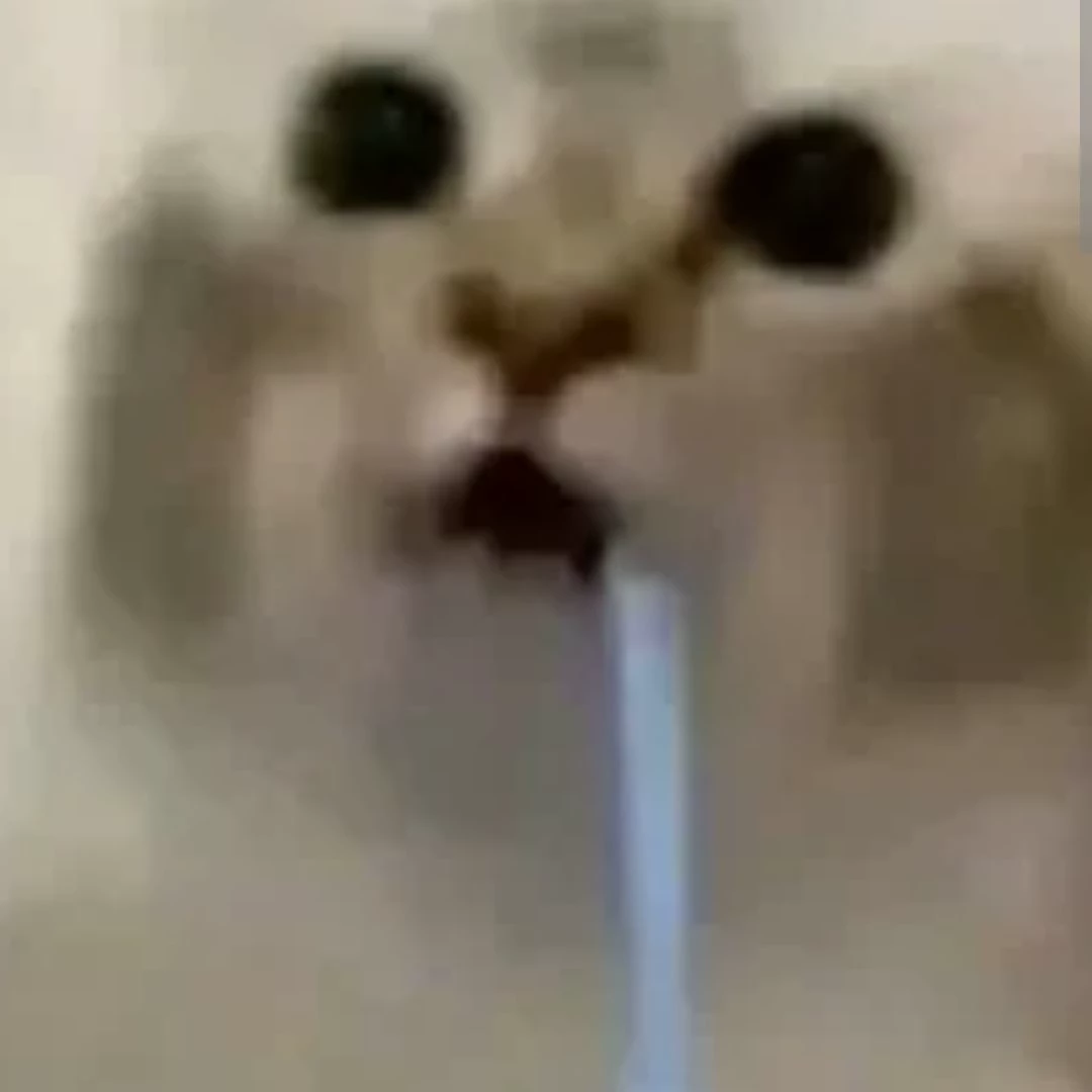 drooling cat thumbnail