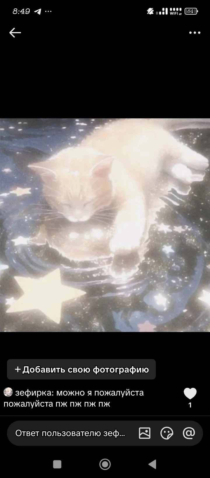 kitten thumbnail
