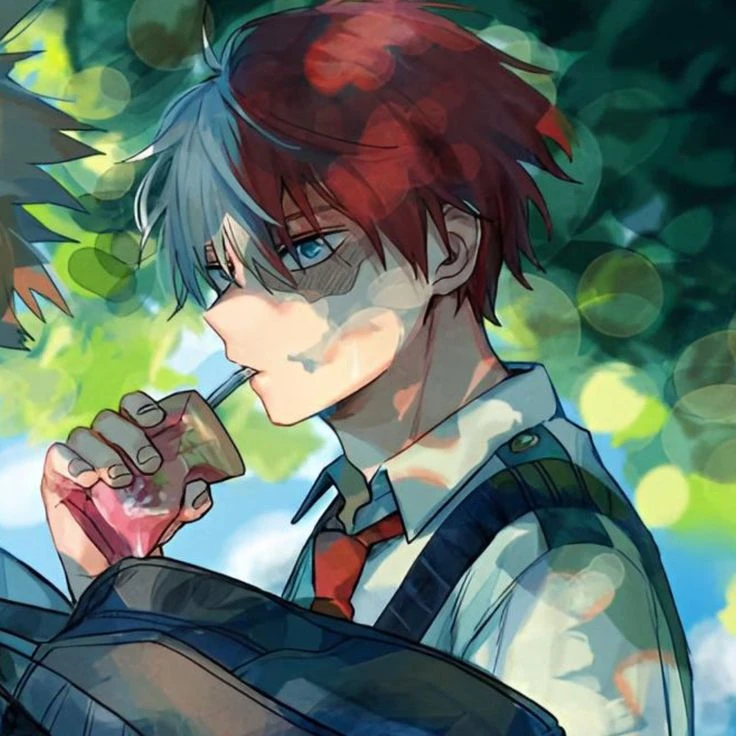 Shoto Todoroki in 1-C thumbnail