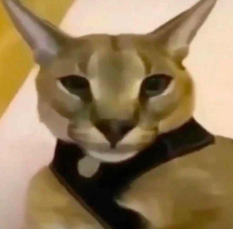 Hecker the cat thumbnail