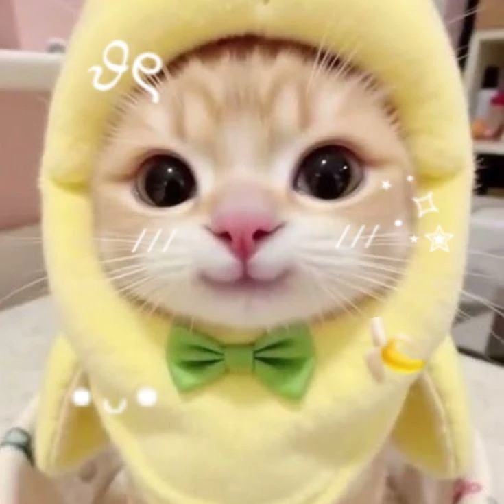 🐒•˙∘ 𝓑𝓪𝓫𝔂 ᵇᵃⁿᵃⁿᵃ•˙∘🍌