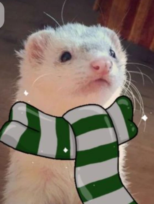 Slytherin group chat 🐍 thumbnail