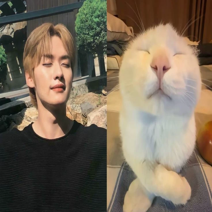 Minho thumbnail