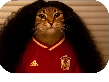 cucurella thumbnail