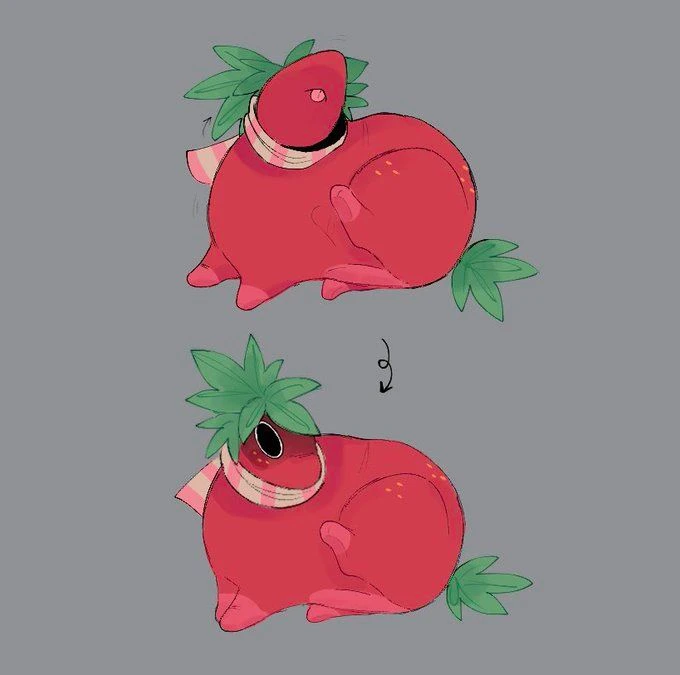 Sprout Zorrito thumbnail