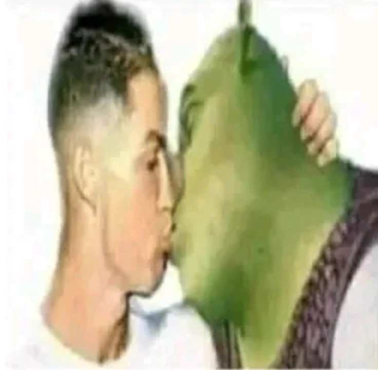 The World of Sherek {Role Play} thumbnail
