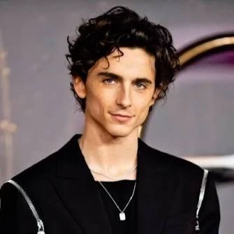 Timothée Chalamet thumbnail