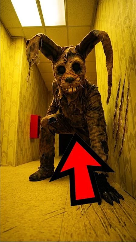 the rabbit thumbnail