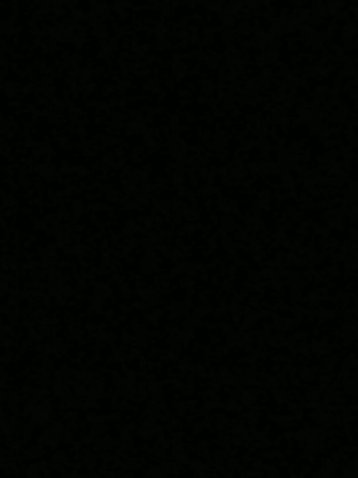 THE GOOBERS thumbnail
