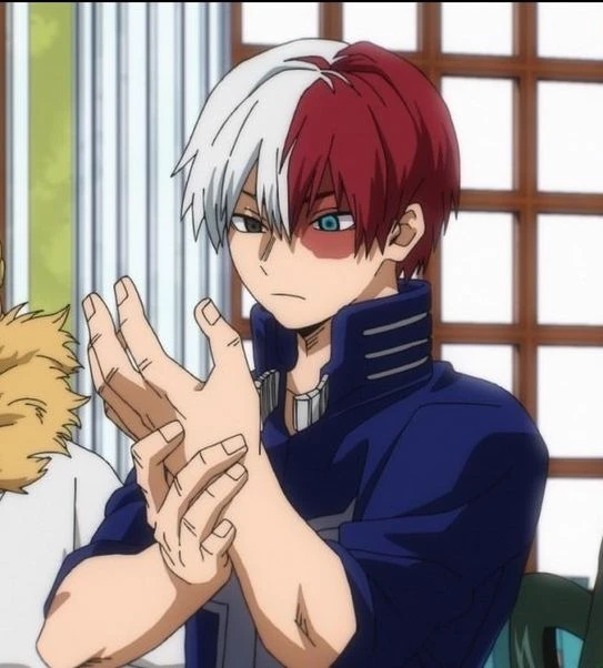 Shoto Todoroki  thumbnail