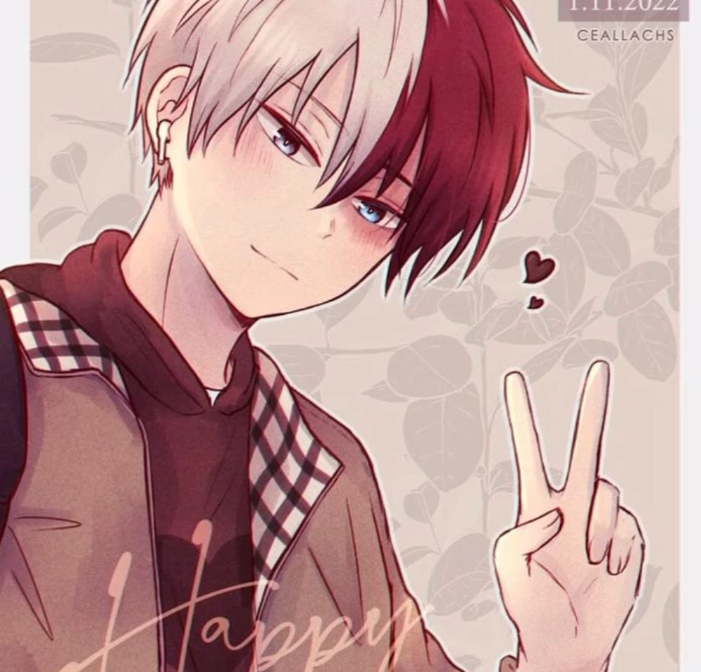 Shoto Todoroki | thumbnail