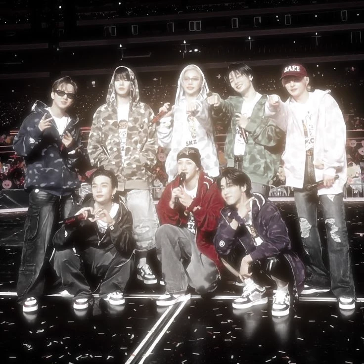 straykids stepbrother  thumbnail
