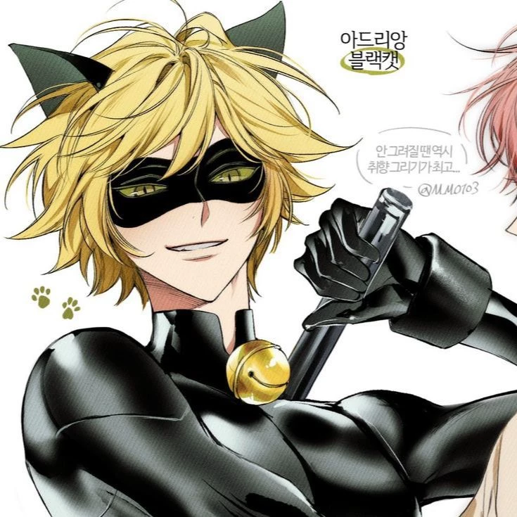 Cat Noir thumbnail