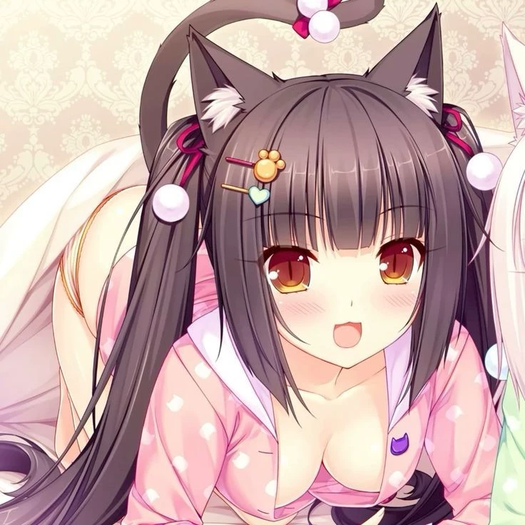 （˃ 𑄙 ˂ と ）