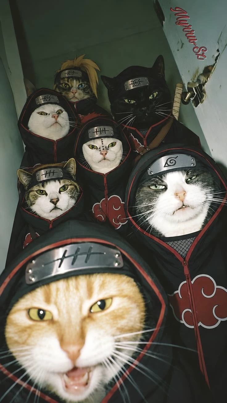 Akatsuki thumbnail