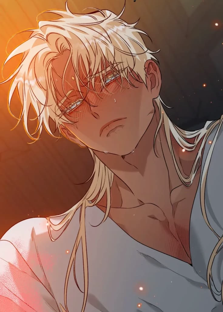 Shuraka||BL/YAOI||Based off The blossom of the white night|| thumbnail