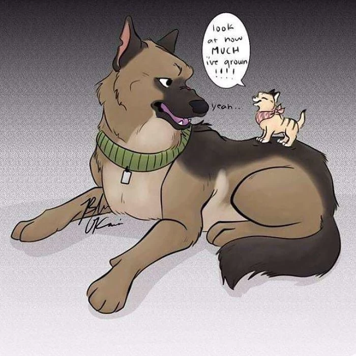 Pixie and Brute role-playing game thumbnail