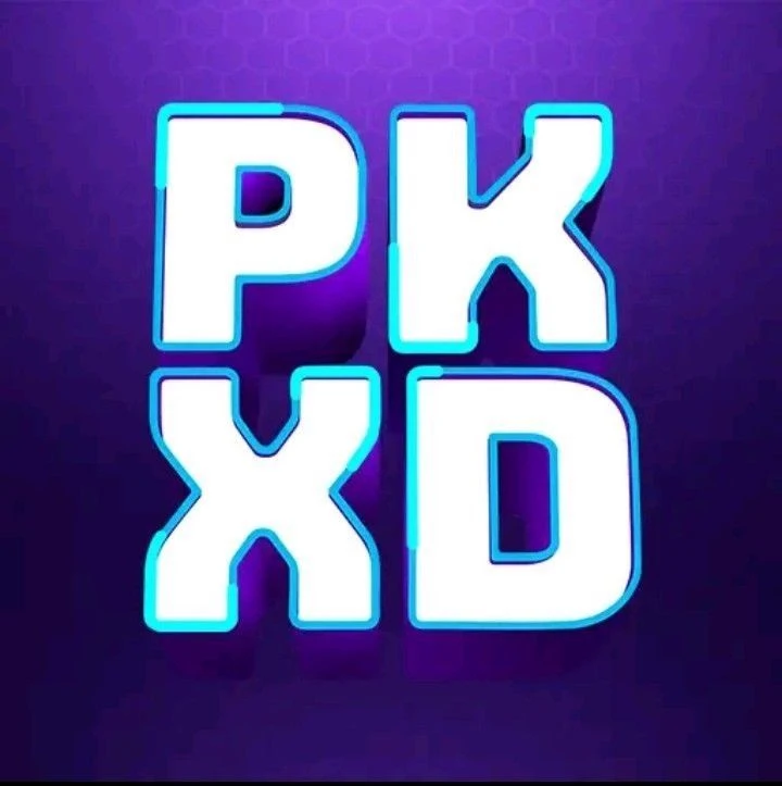PK XD thumbnail