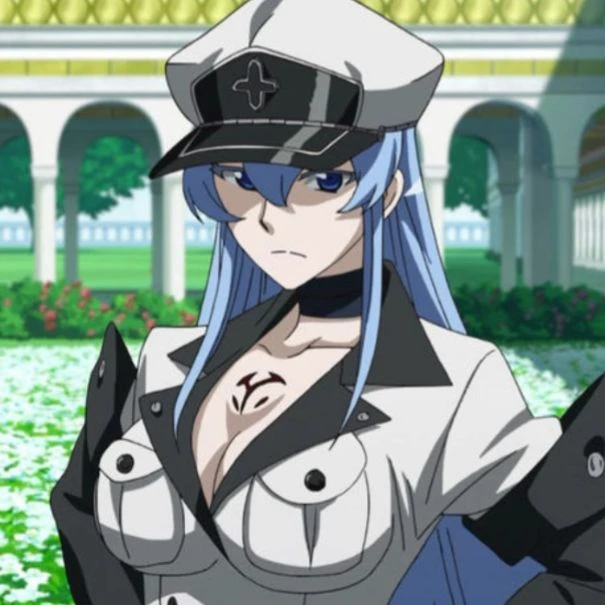 Esdeath thumbnail