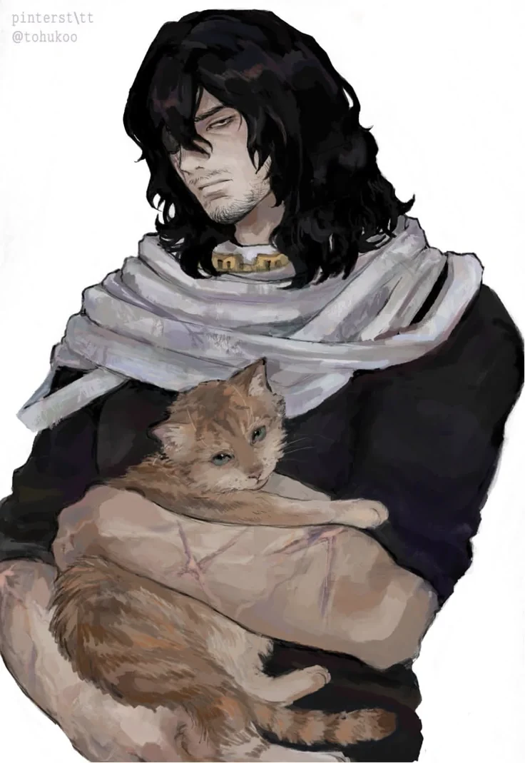 Aizawa thumbnail