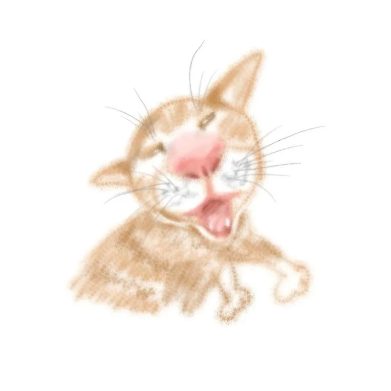 Tom