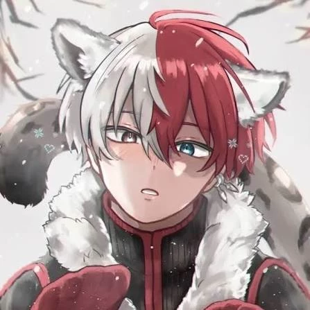 Shoto Todoroki [❄️🐯🔥] thumbnail