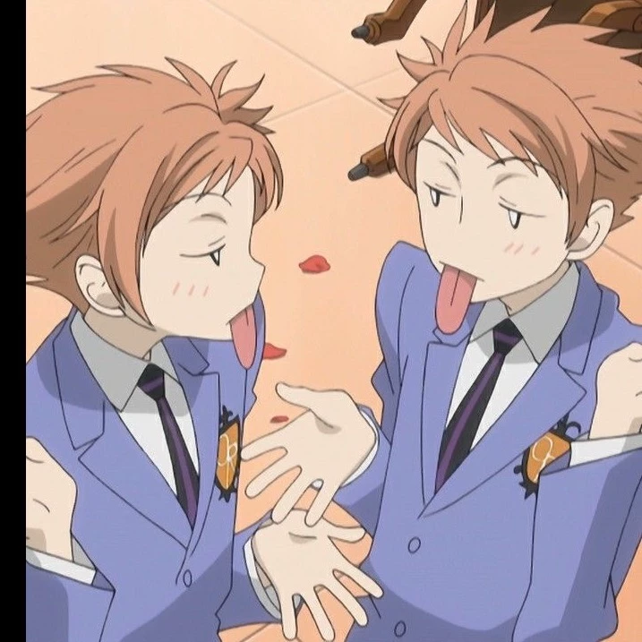 Gay twins