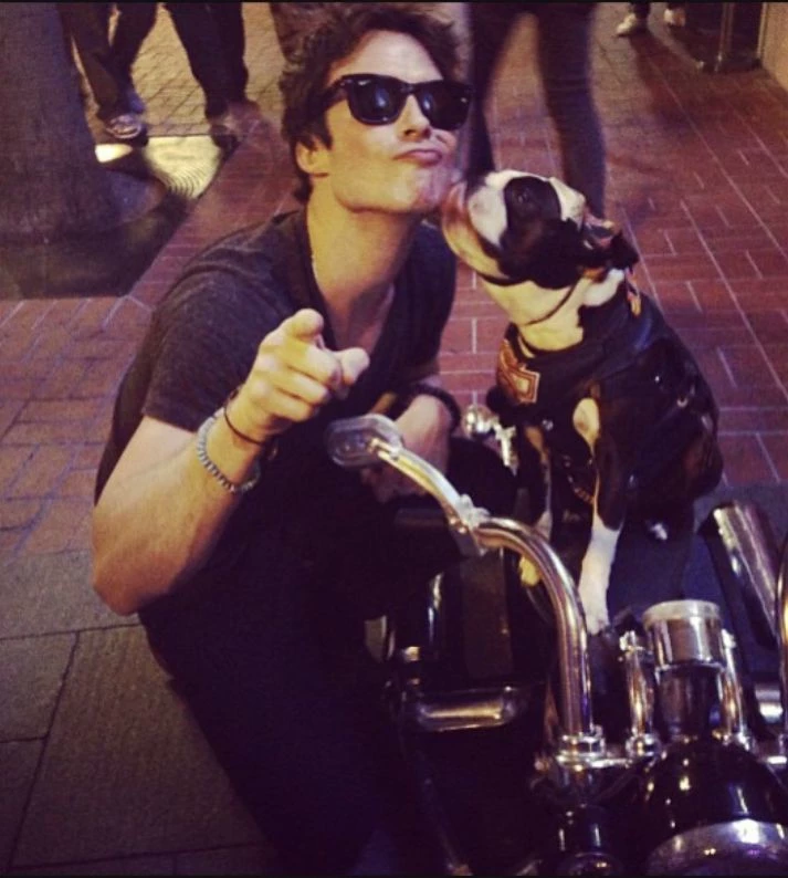 Damon Salvatore thumbnail