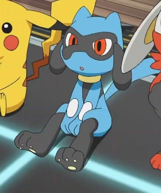 Riolu - Pokémon thumbnail